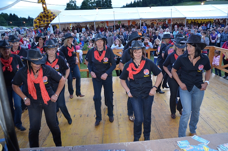Scheibenhof 2013 (7).JPG